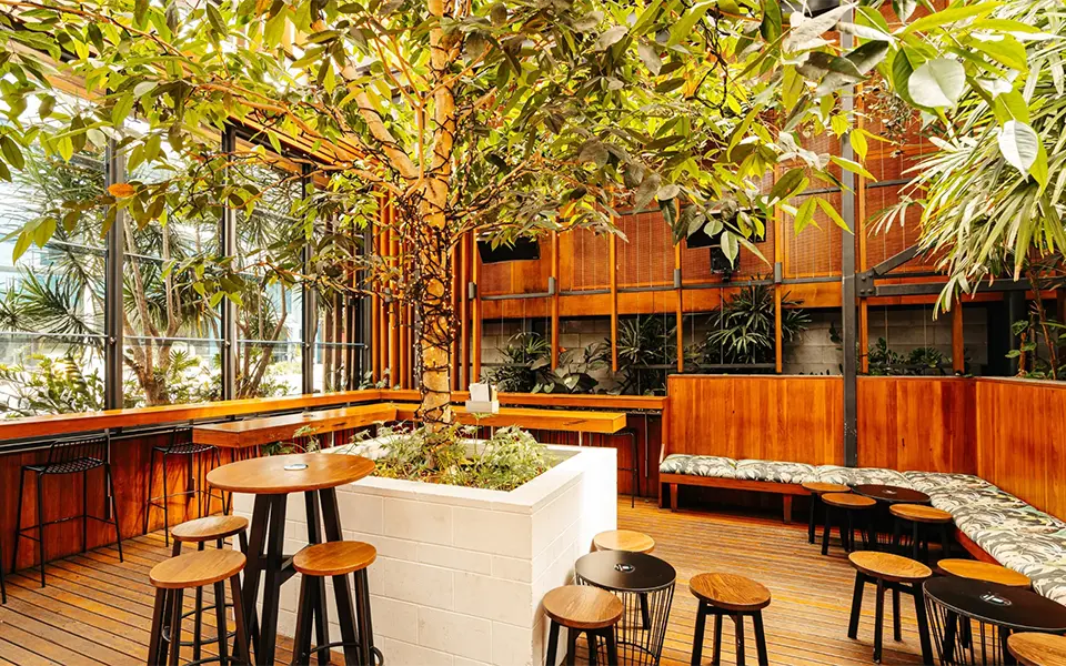 Osbourne Functions Spaces Glasshouse